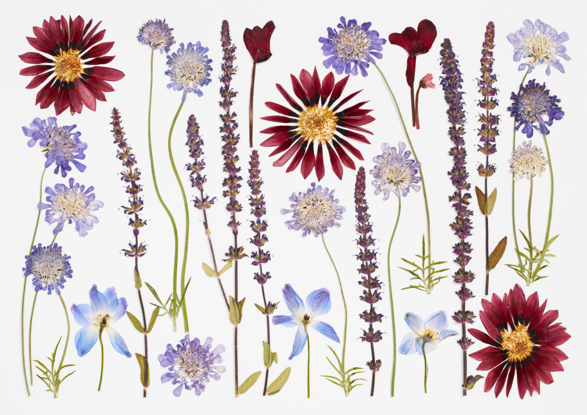 Pressed Wedding Flowers