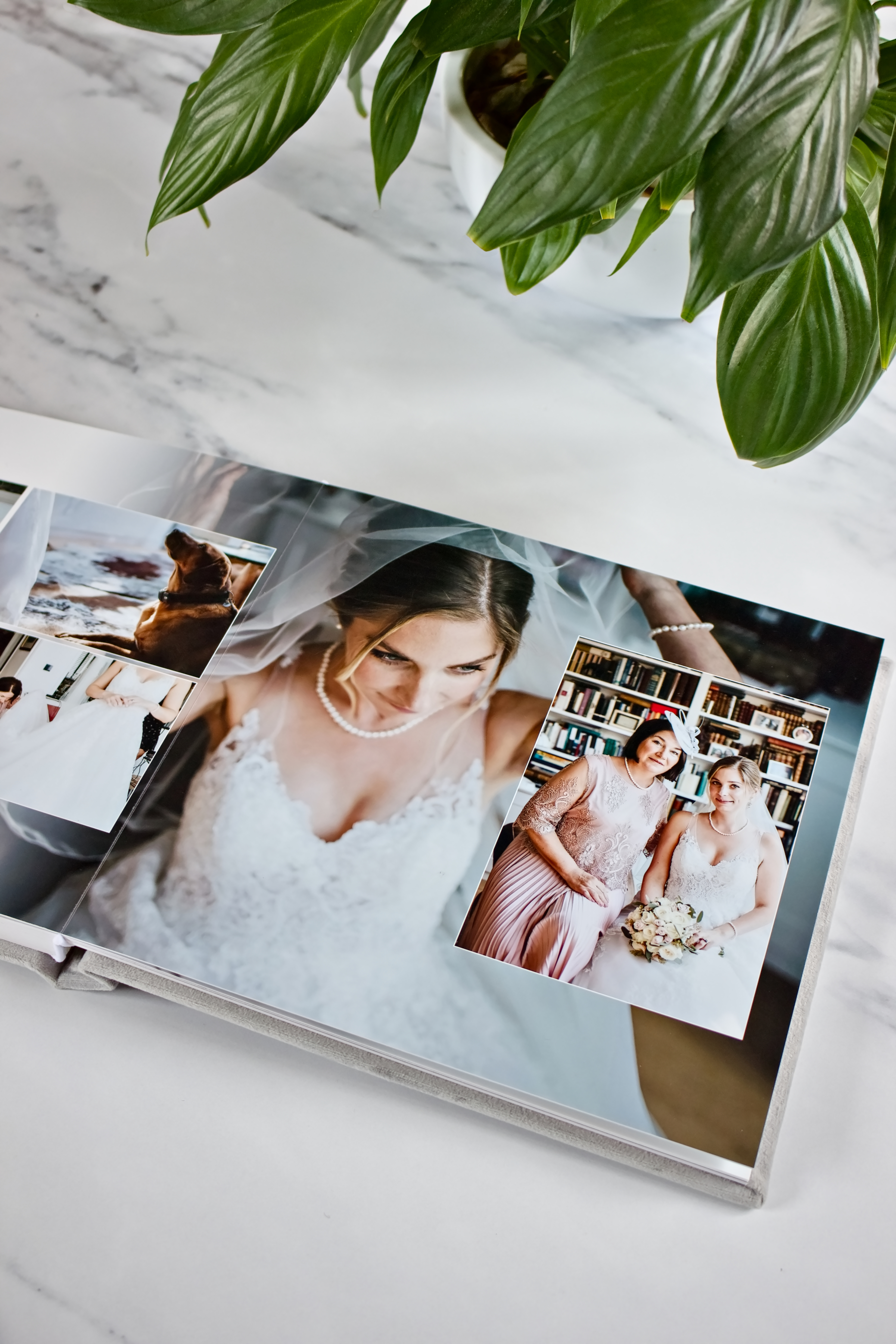 White Peacock Album Design